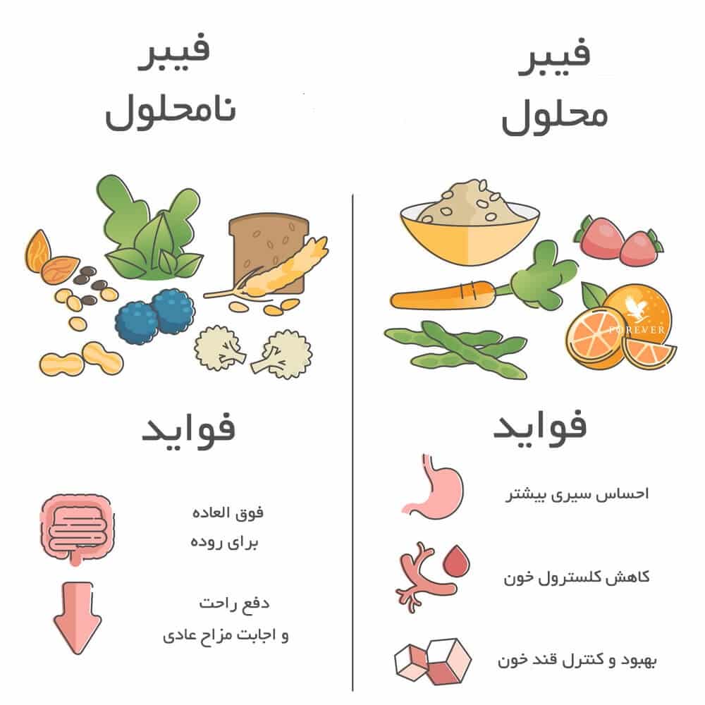 انواع فیبر در صنایع غذایی